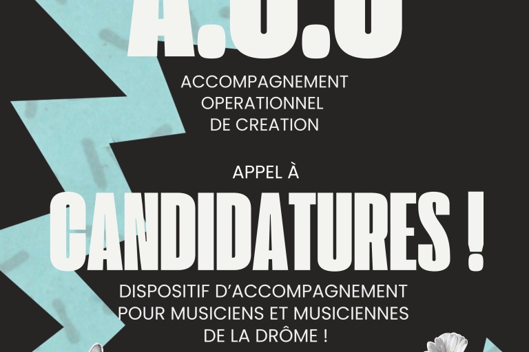 Appel à candidature musicien·ne·s